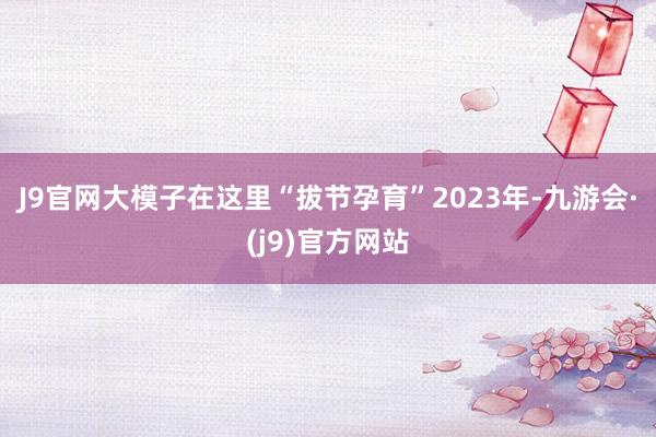 J9官网大模子在这里“拔节孕育”　　2023年-九游会·(j9)官方网站