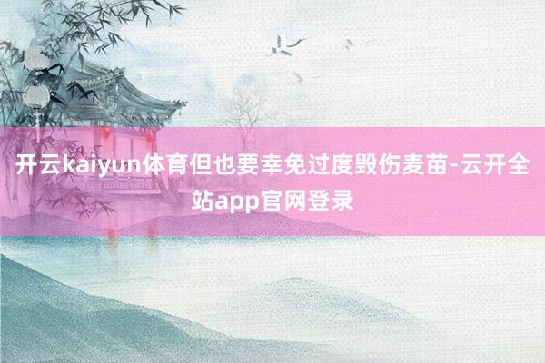 开云kaiyun体育但也要幸免过度毁伤麦苗-云开全站app官网登录